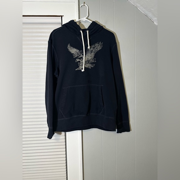 American Eagle Graphic Hoodie Navy Heritage Eagle Logo Pullover Large - Picture 3 of 5